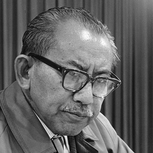 Portrait of Mohammad Roem