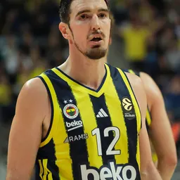 Portrait of Nando de Colo