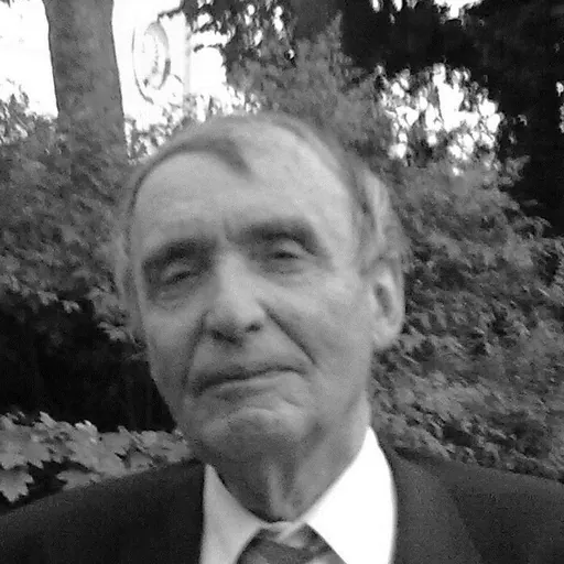 Portrait of Joël Schmidt