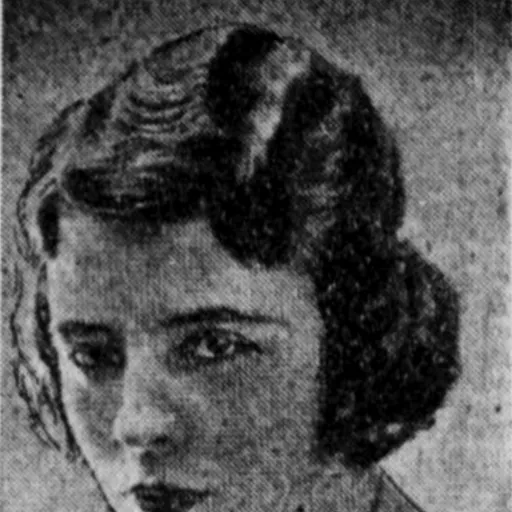 Portrait of Nitta-Jo