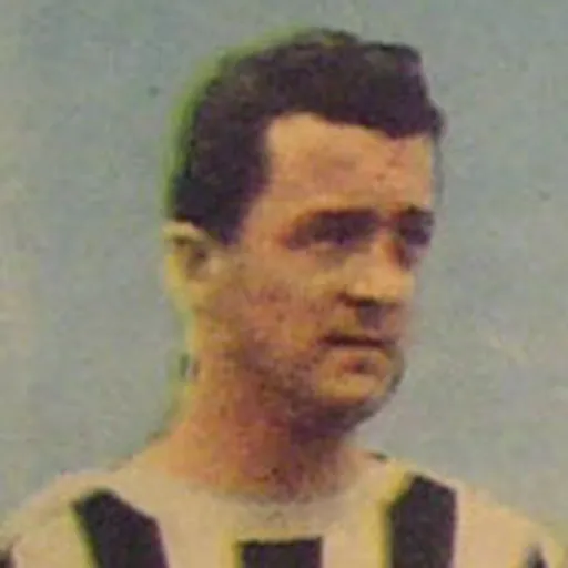 Portrait of Ercole Rabitti