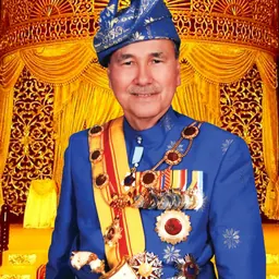Portrait of Tengku Putra