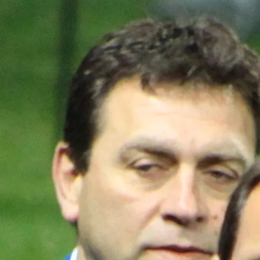 Portrait of David Nucifora