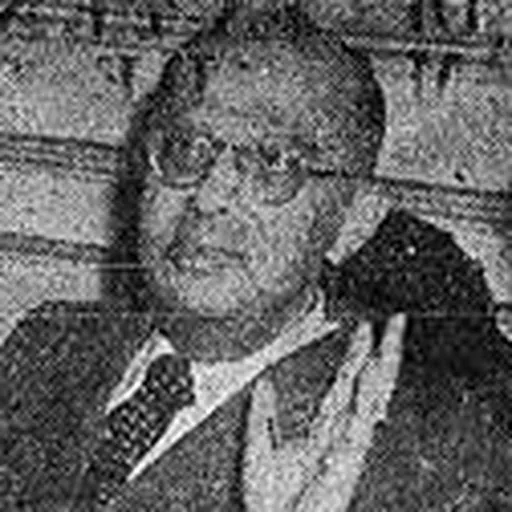 Portrait of Miguel Maria de Serpa Lopes