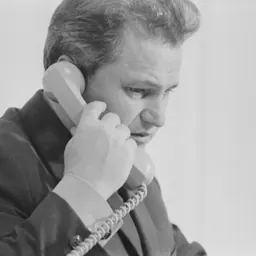 Portrait of Victor Teleucă