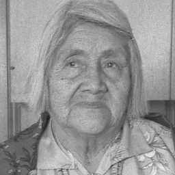Portrait of Lucy M. Lewis