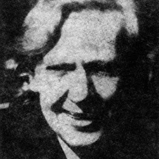 Portrait of Wanda Mejbaum-Katzenellenbogen