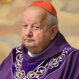 Portrait of Stanisław Dziwisz