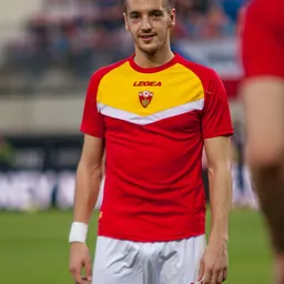 Portrait of Vukan Savićević