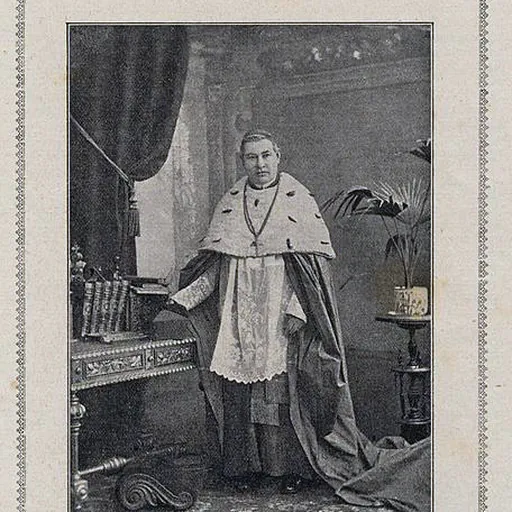 Portrait of Johannes Evangelist Haller
