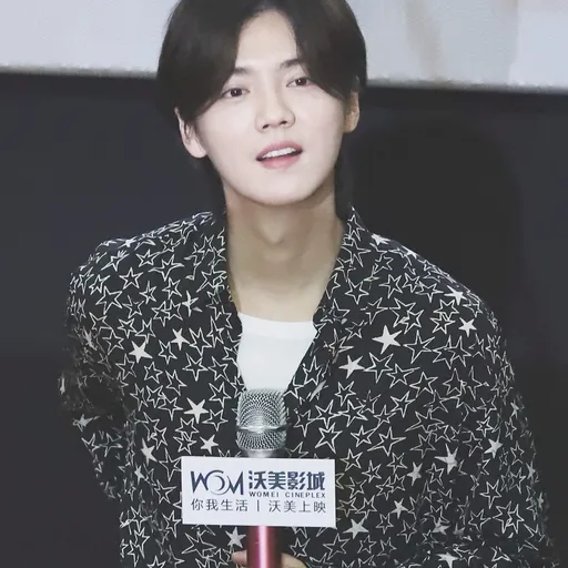 Portrait of Lu Han