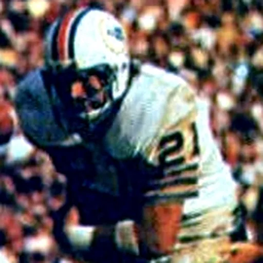 Portrait of Jim Kiick