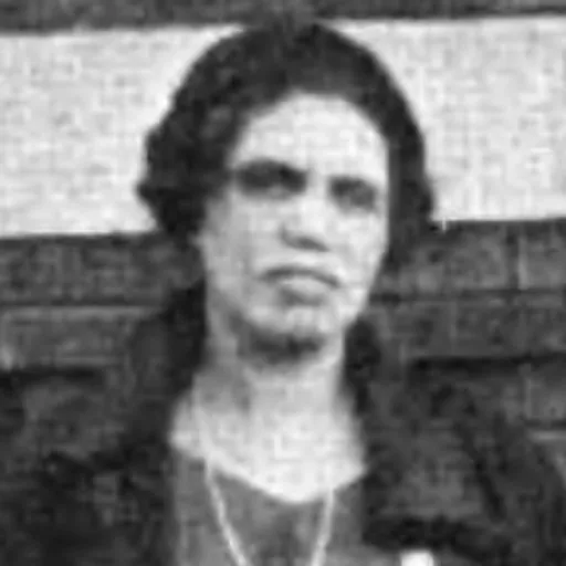 Portrait of Camille Nickerson