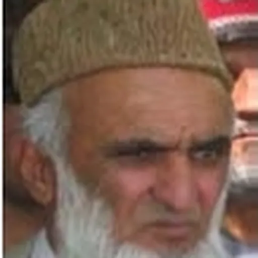 Portrait of Assadullah Wafa