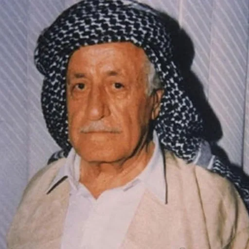 Portrait of Toma Tomas