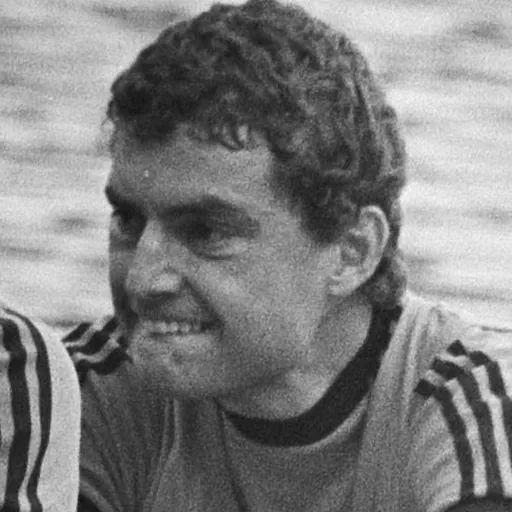 Portrait of Hans Lycklama
