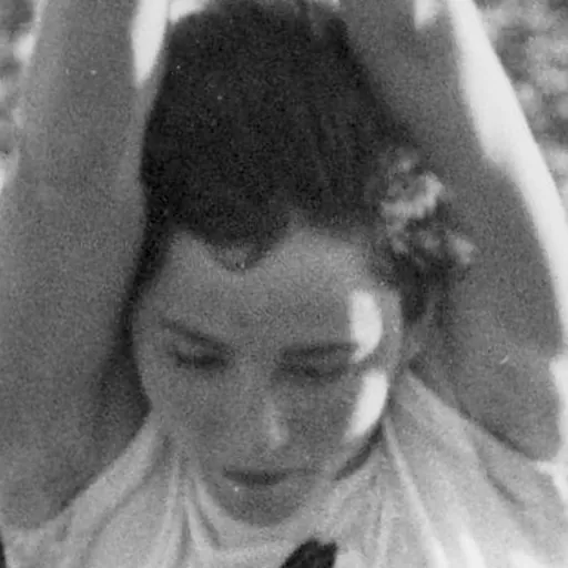 Portrait of Inga Broberg