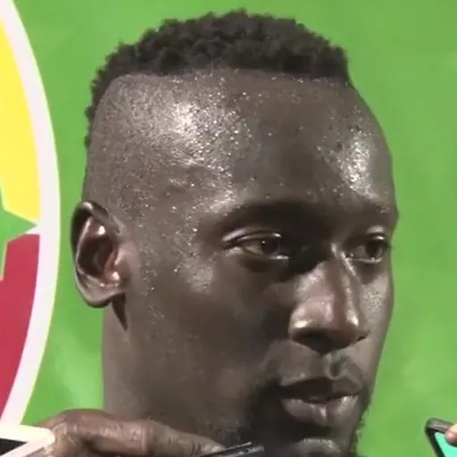 Portrait of Famara Diedhiou