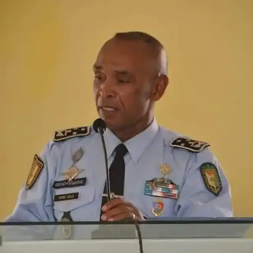 Portrait of Serge Gellé