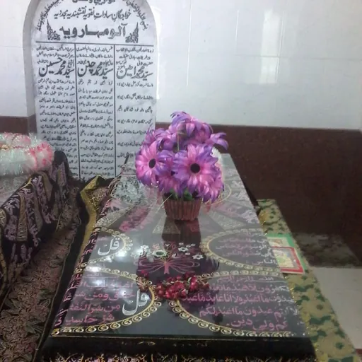 Portrait of Muhammad Amin Shah Sani