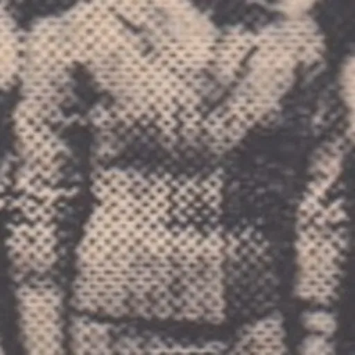 Portrait of Liliana Scaricabarozzi