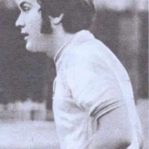 Portrait of Vasile Simionaș