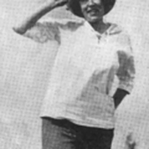 Portrait of Vingie E. Roe