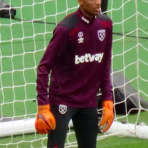 Portrait of Nathan Trott