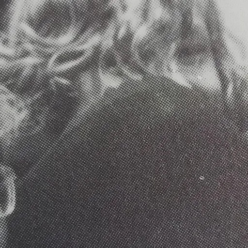 Portrait of Sam Robards