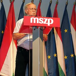 Portrait of Sándor Káli