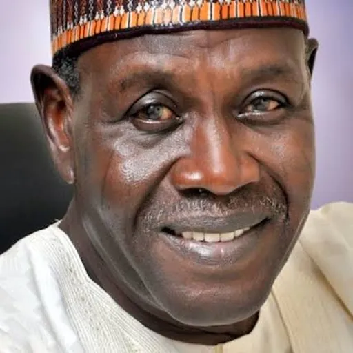 Portrait of Baba Gana Kingibe