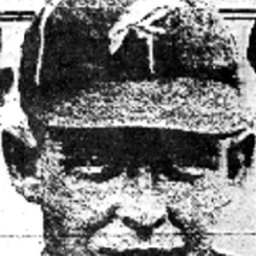 Portrait of Broadway Jones