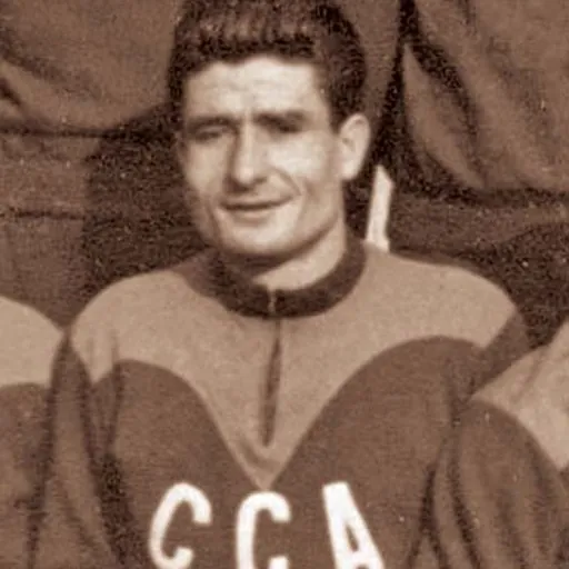 Portrait of Ion Voinescu