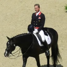 Portrait of Carl Hester