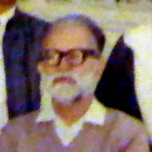 Portrait of Muztar Abbasi