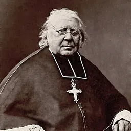 Portrait of Ferdinand-François-Auguste Donnet