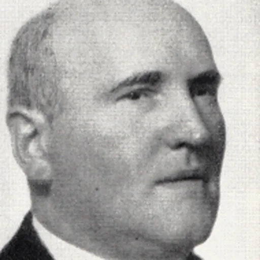 Portrait of Bedřich Antonín Wiedermann