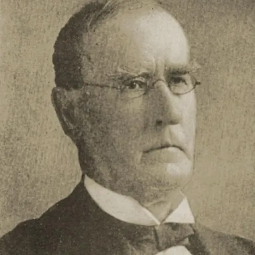 Portrait of William McKinley, Sr.