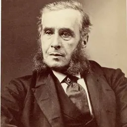 Portrait of Narcisse-Fortunat Belleau