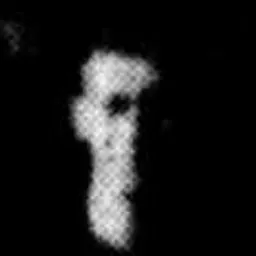 Portrait of Bill Vanthoff