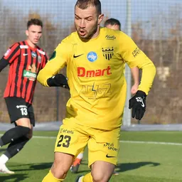 Portrait of Bohdan Boychuk
