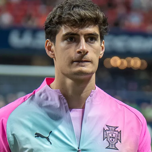Portrait of António Silva