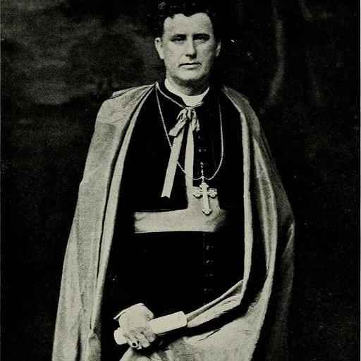 Portrait of Thomas Francis Lillis