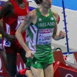 Portrait of Ciarán O'Lionaird