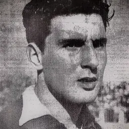 Portrait of Dinis Vital