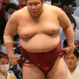 Portrait of Atamifuji Sakutarō