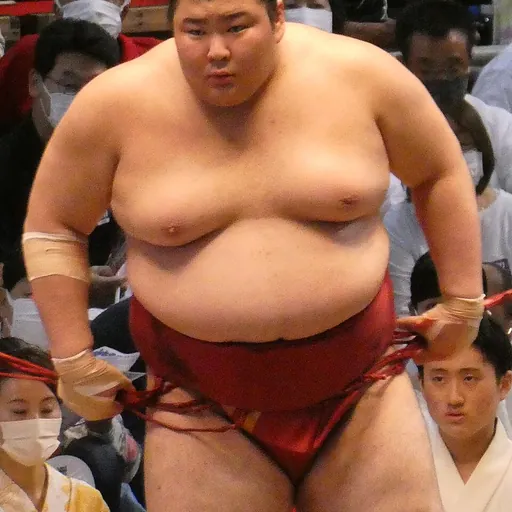 Portrait of Atamifuji Sakutarō