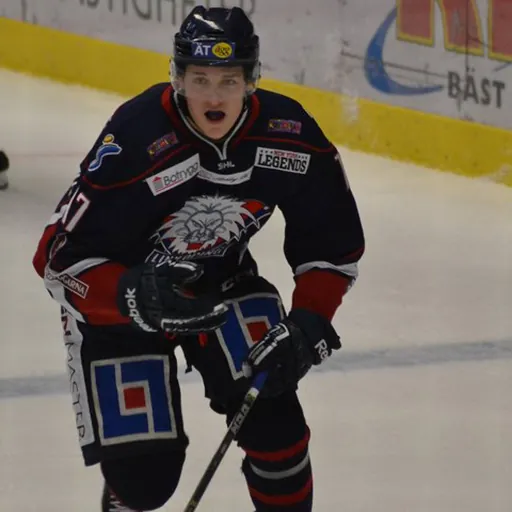 Portrait of Henrik Törnqvist