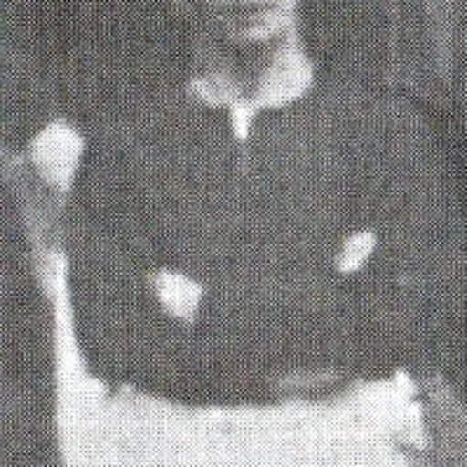Portrait of Jack Lowe