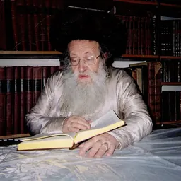 Portrait of Yechiel Fishel Eisenbach